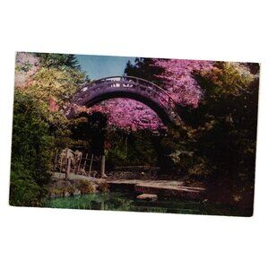 Vintage Postcard Oriental Tea Garden Moon Bridge San Francisco Tourism Roadside